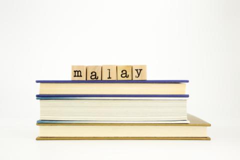 Malay translation services