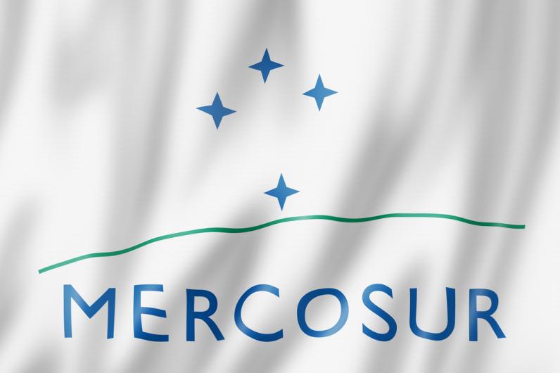 Learn all about Mercosur and its multilingual translation