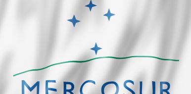 Learn all about Mercosur and its multilingual translation